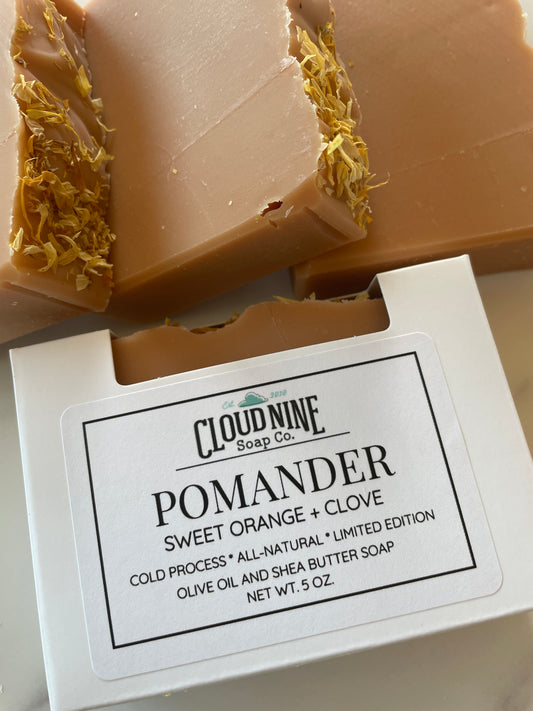 Seasonal Edition Soap, Pomander: Sweet Orange + Clove