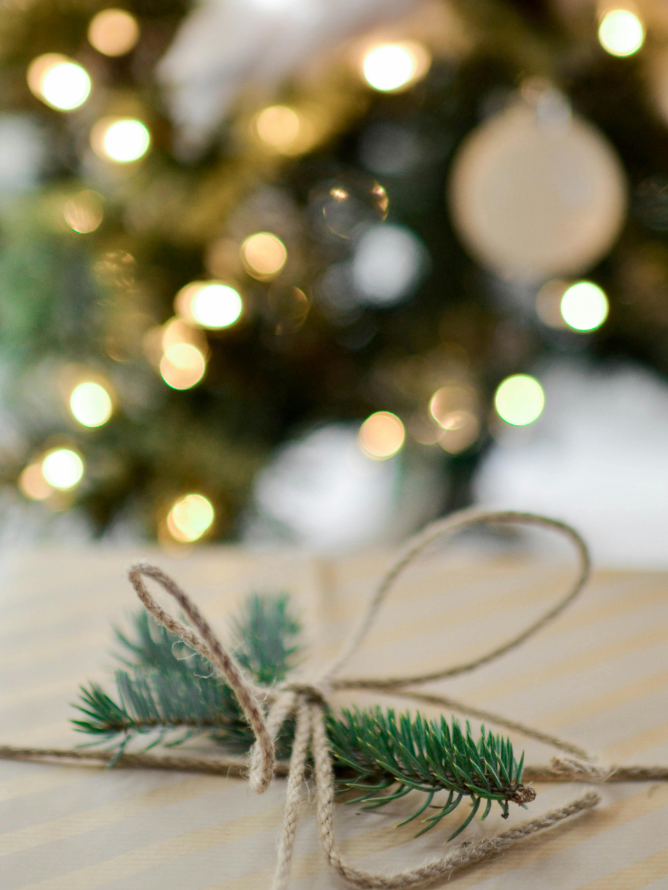 Frosted Pine Rocks Glass Soy Candle: Fresh-Cut Pine, Fir Needle, Eucalyptus